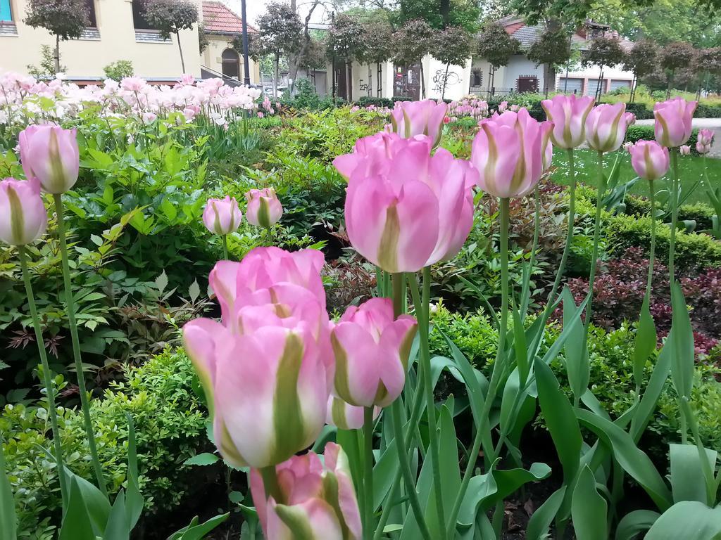 Kierunek Sopot Apartament Pomorski 외부 사진
